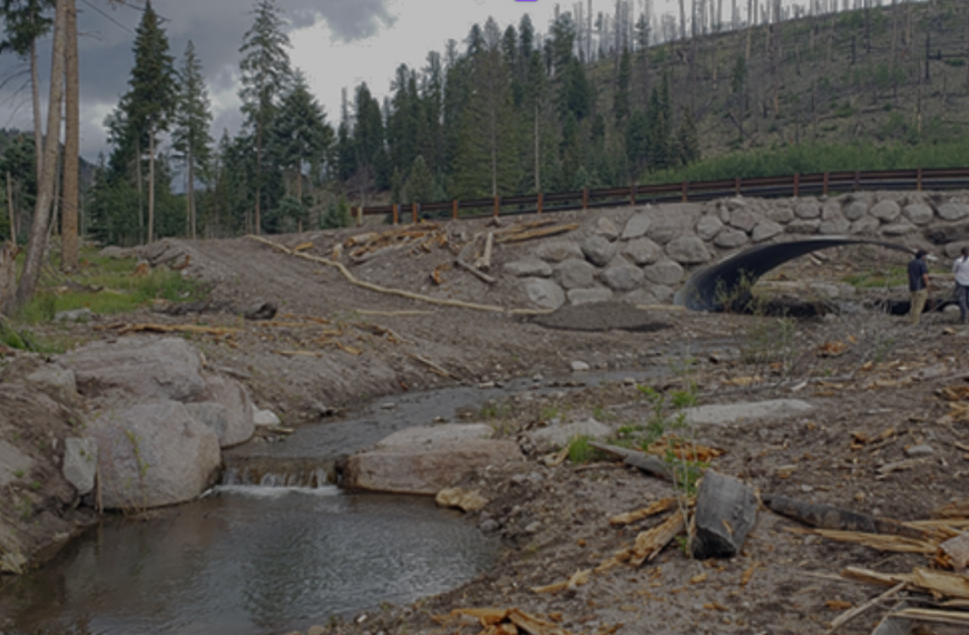 Post-Wildfire Recovery Through Principles of Engineering with Nature Cover Photo